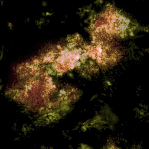 Рис.2a.3. Суммарное изображение области 2a, показывающее распределение anatase по отношению к изображению поверхности образца в отраженном лазерном свете