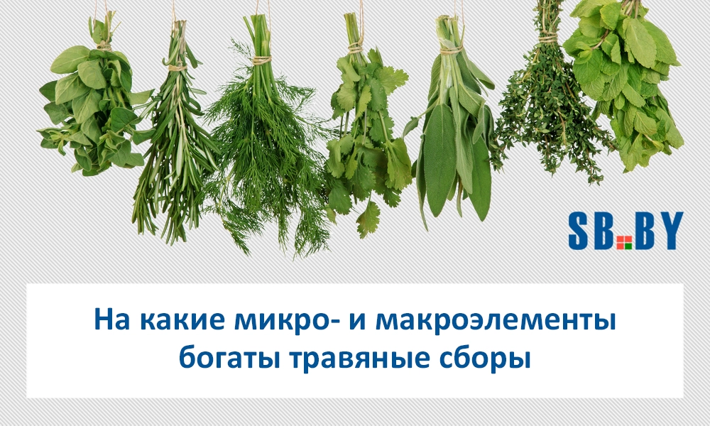 Интервью СОЛ инструментс газете СБ