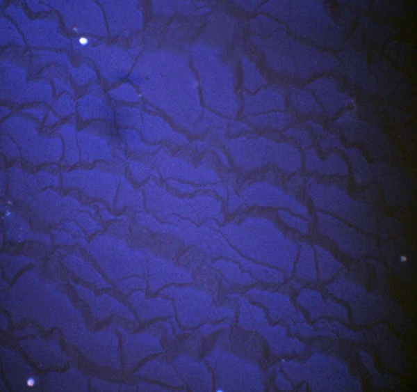 Изображение ячейки солнечной батареи под микроскопом