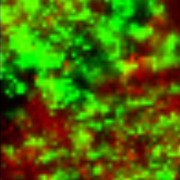 Распределение аспирина (зеленый) и парацетамола (красный) в таблетке